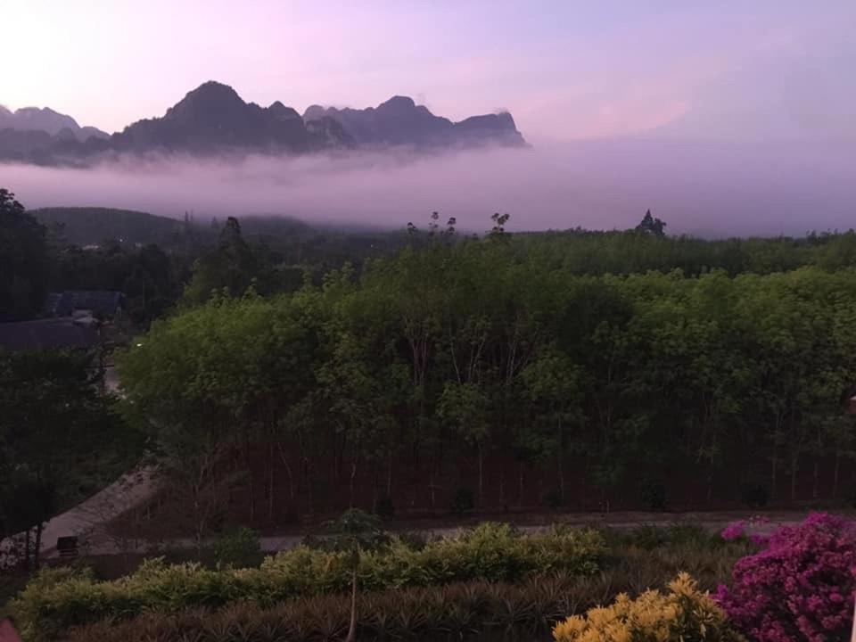 Billion Views Khaosok Homestay Khao Sok National Park エクステリア 写真