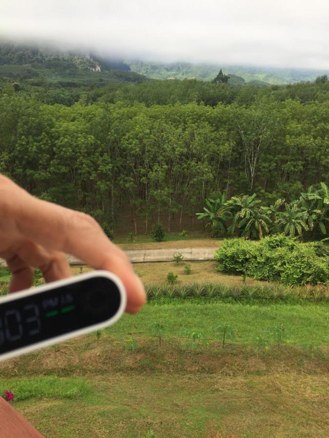 Billion Views Khaosok Homestay Khao Sok National Park エクステリア 写真