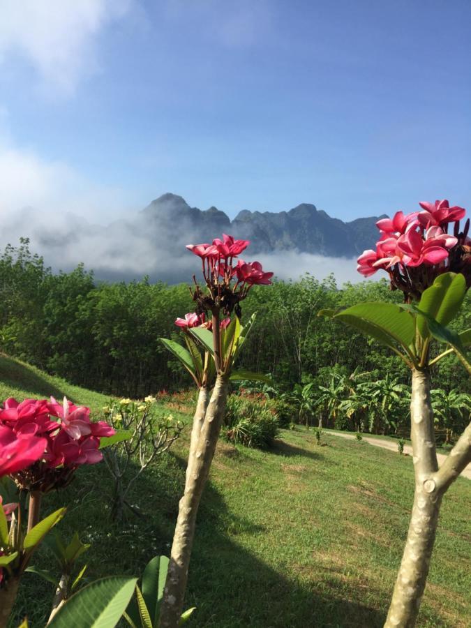 Billion Views Khaosok Homestay Khao Sok National Park エクステリア 写真