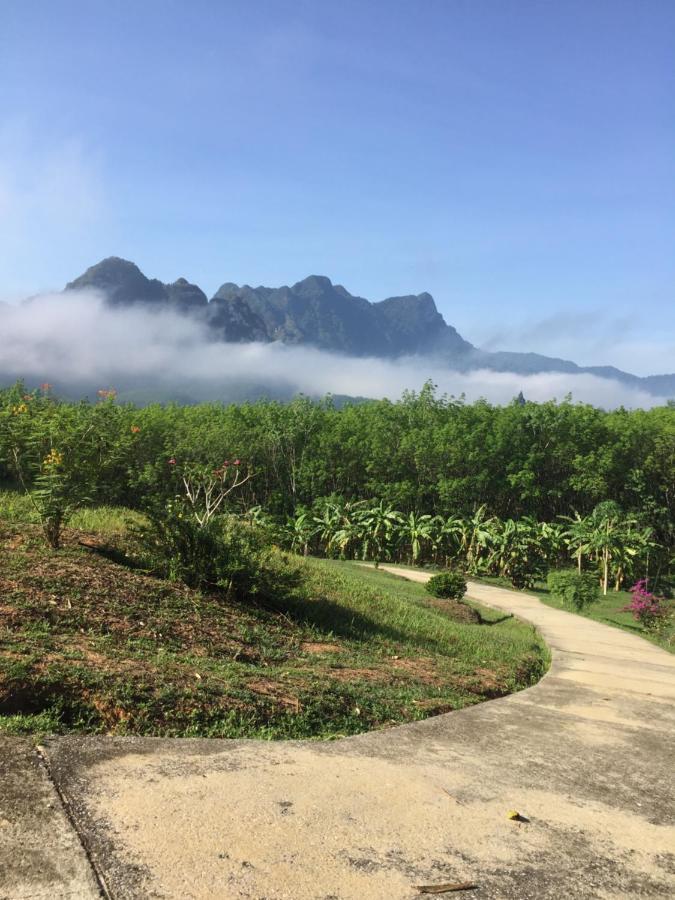 Billion Views Khaosok Homestay Khao Sok National Park エクステリア 写真