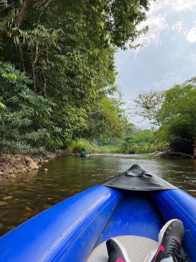 Billion Views Khaosok Homestay Khao Sok National Park エクステリア 写真
